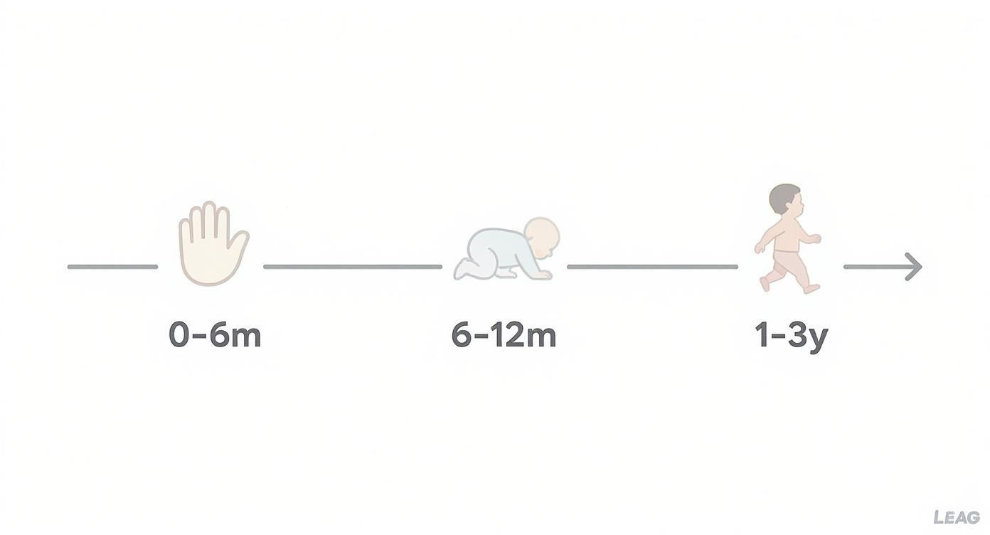 A timeline illustrating baby development stages from 0-6 months (hand), 6-12 months (crawling), to 1-3 years (walking).