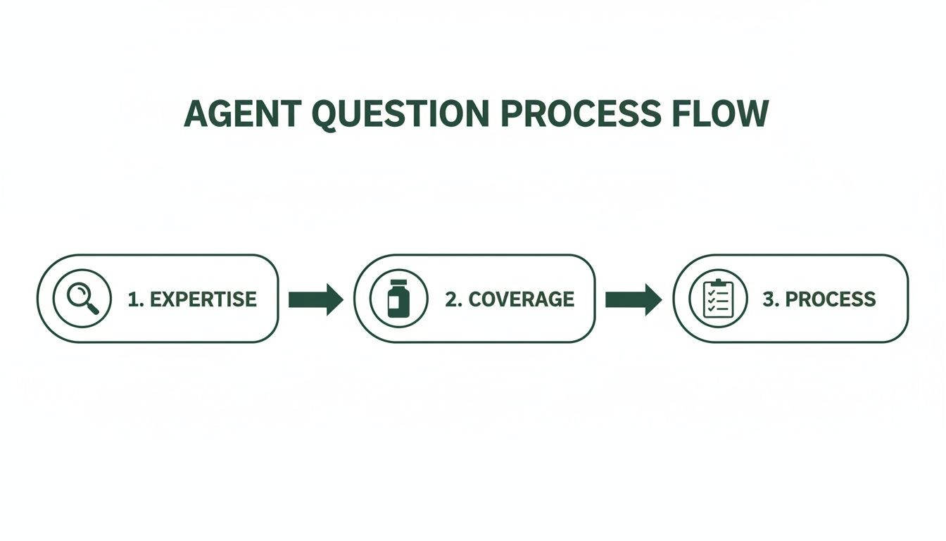 A three-step agent question process flow diagram with icons for expertise, coverage, and process.