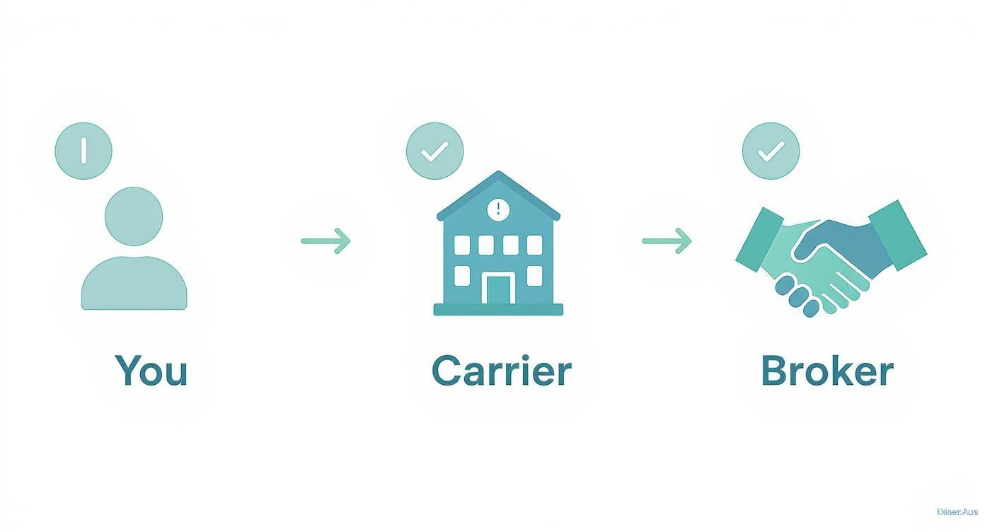 A visual diagram illustrating the process of an individual interacting with an insurance carrier and then a broker.
