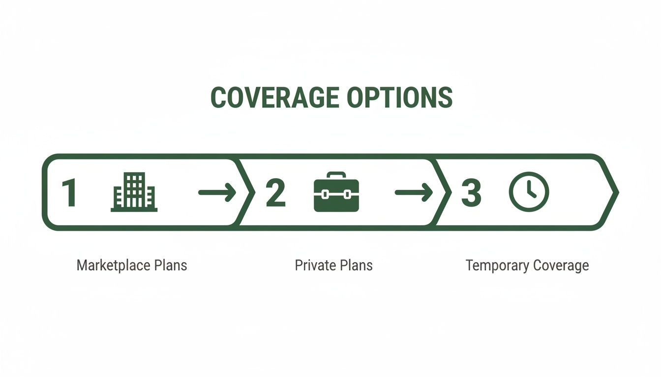 Infographic displaying three health insurance coverage options: Marketplace Plans, Private Plans, and Temporary Coverage.