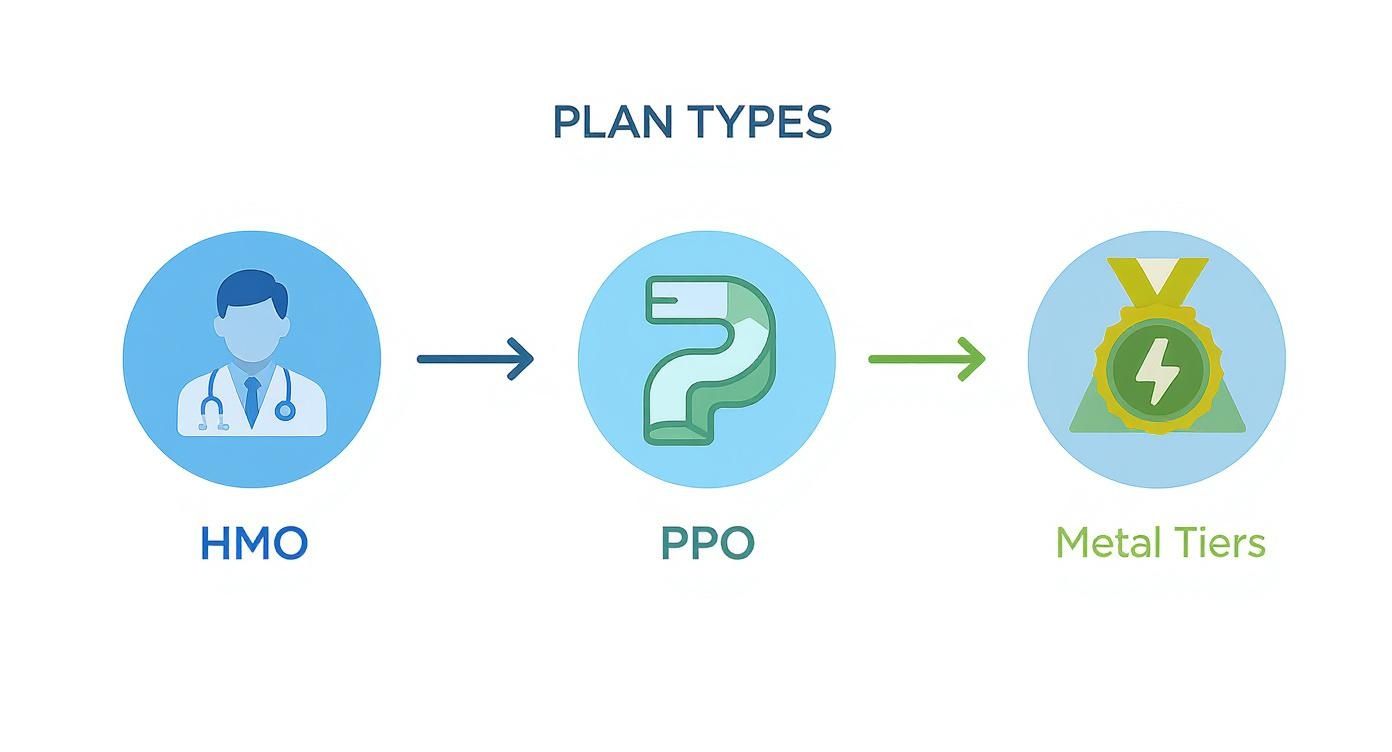 Infographic showing the process of choosing a health plan from HMO to PPO and then selecting a metal tier.