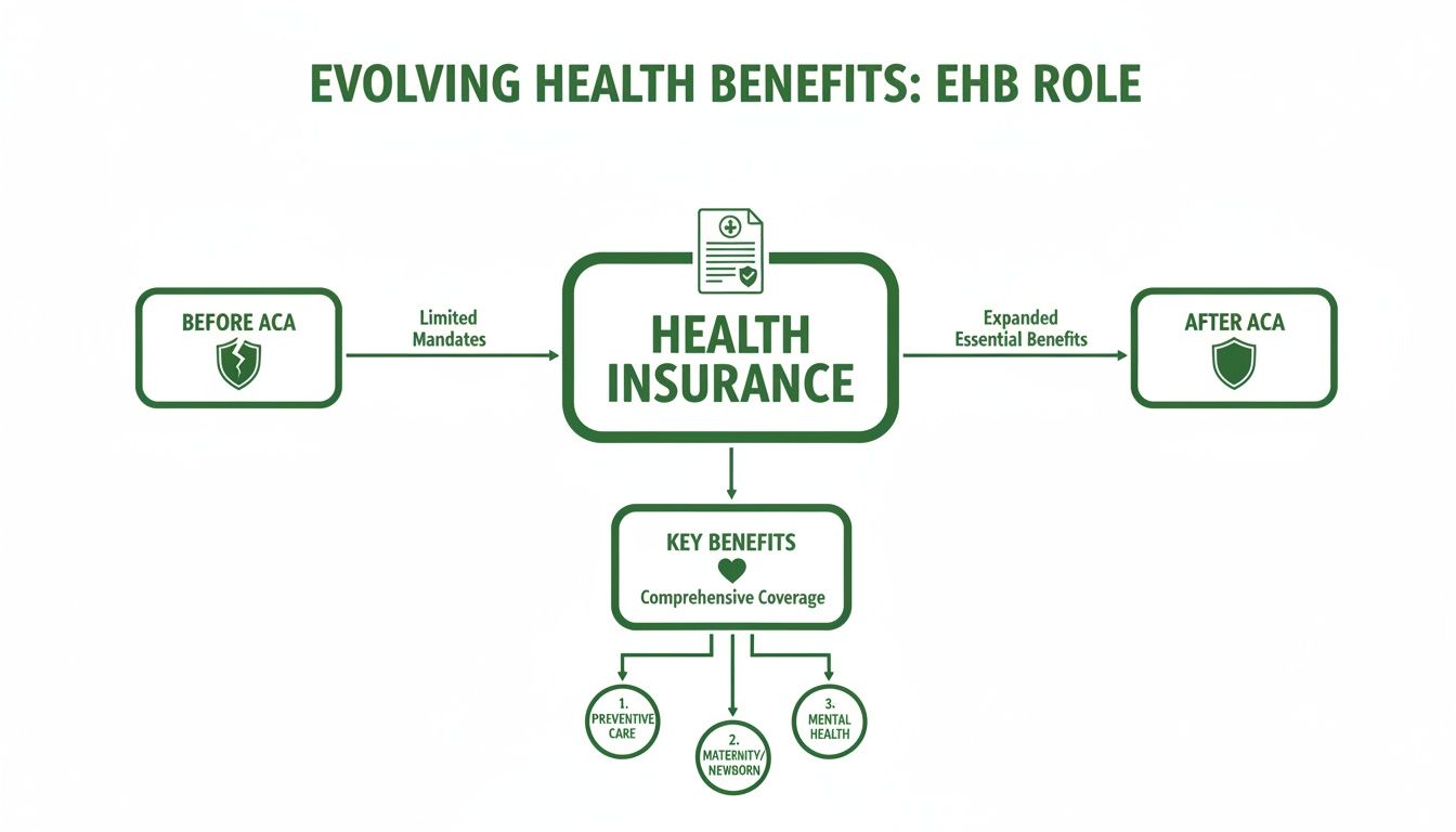 Flowchart showing health insurance evolution before and after ACA, highlighting essential benefits like preventive, maternity, and mental health.