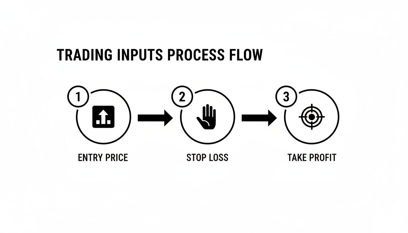 Diagram showing the trading inputs process flow: entry price, stop loss, and take profit steps.