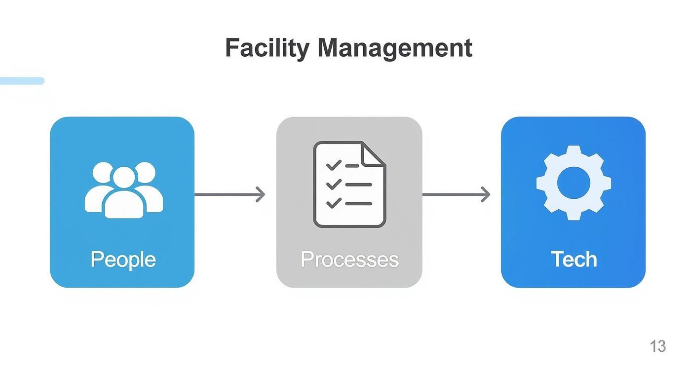 Infographic about Dallas facility management
