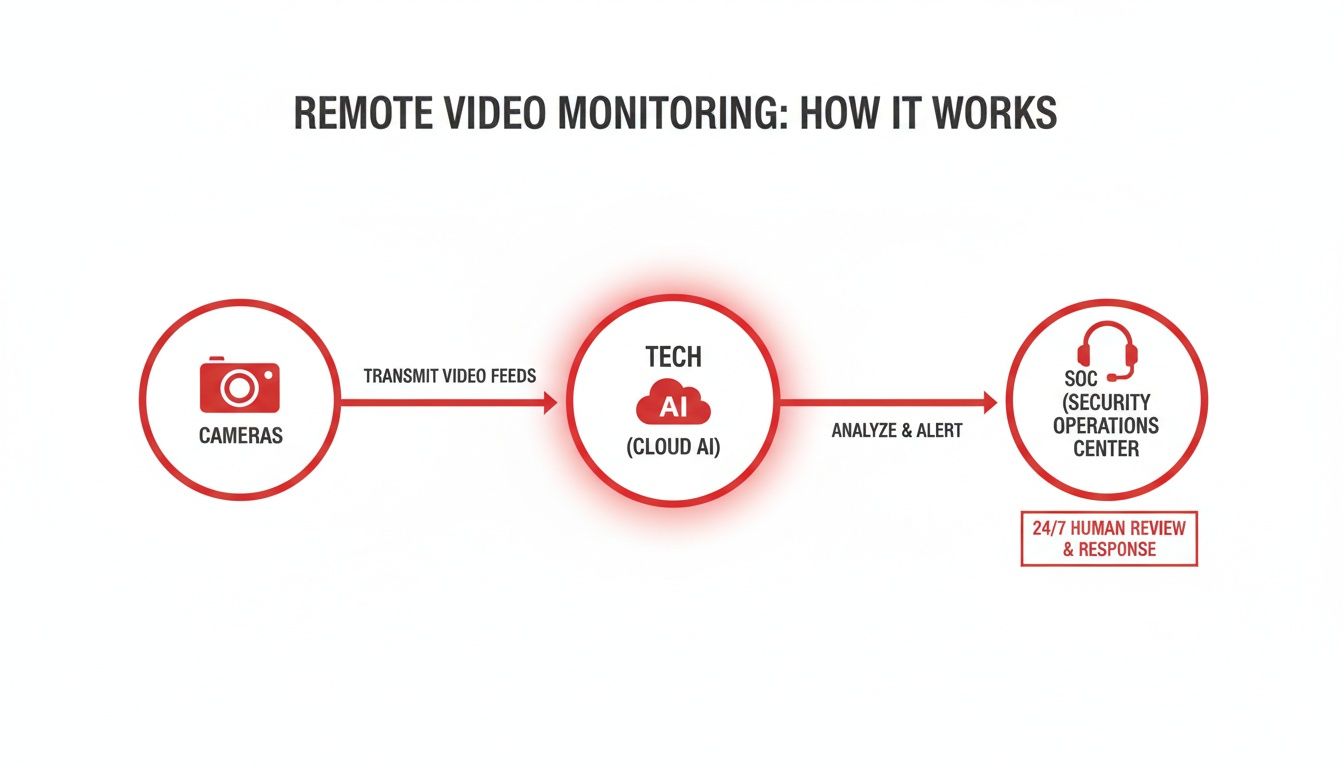 Flowchart illustrating remote video monitoring: cameras transmit feeds to cloud AI, which alerts a security operations center for 24/7 human review.