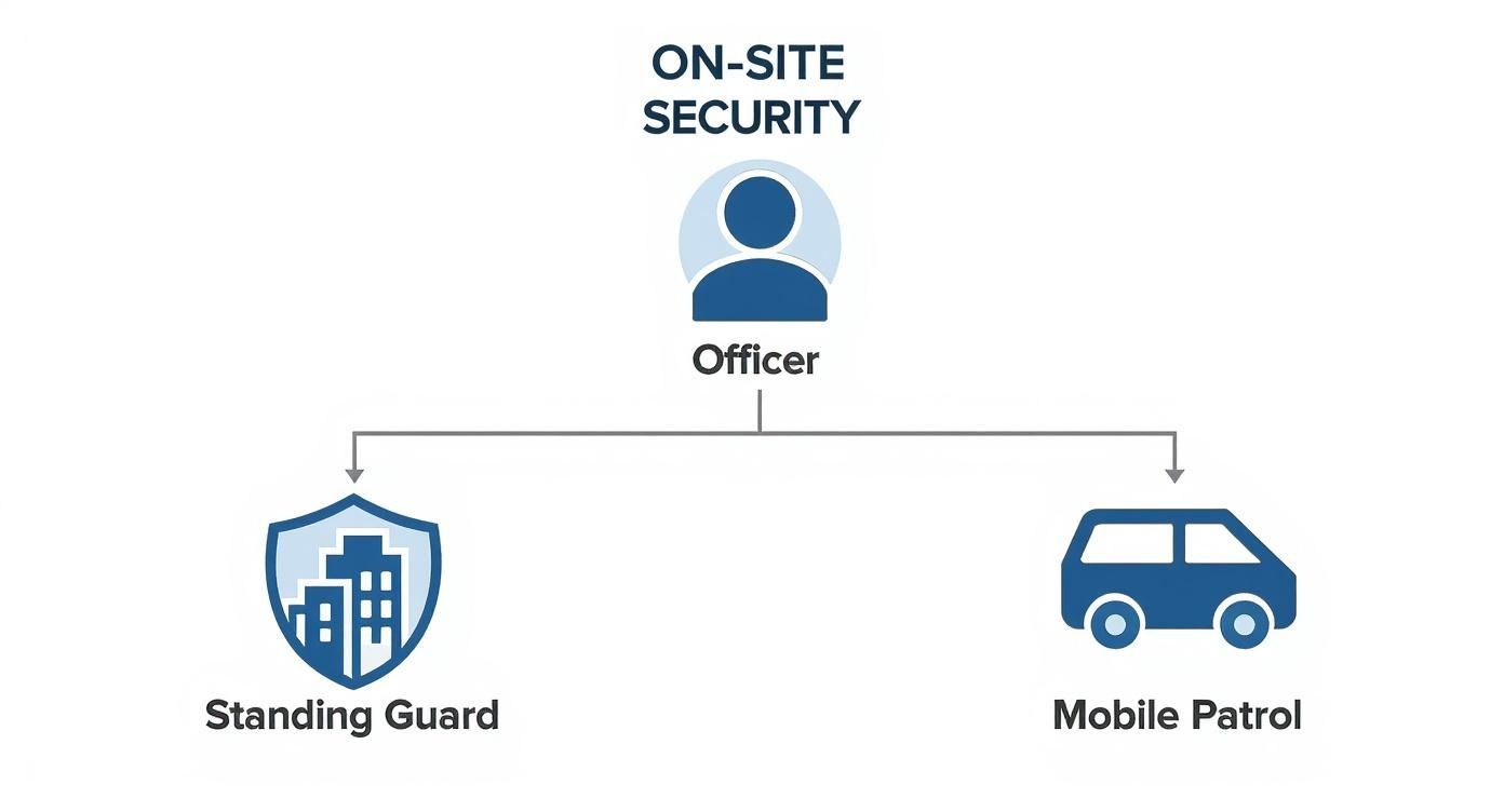 Infographic about Dallas warehouse security