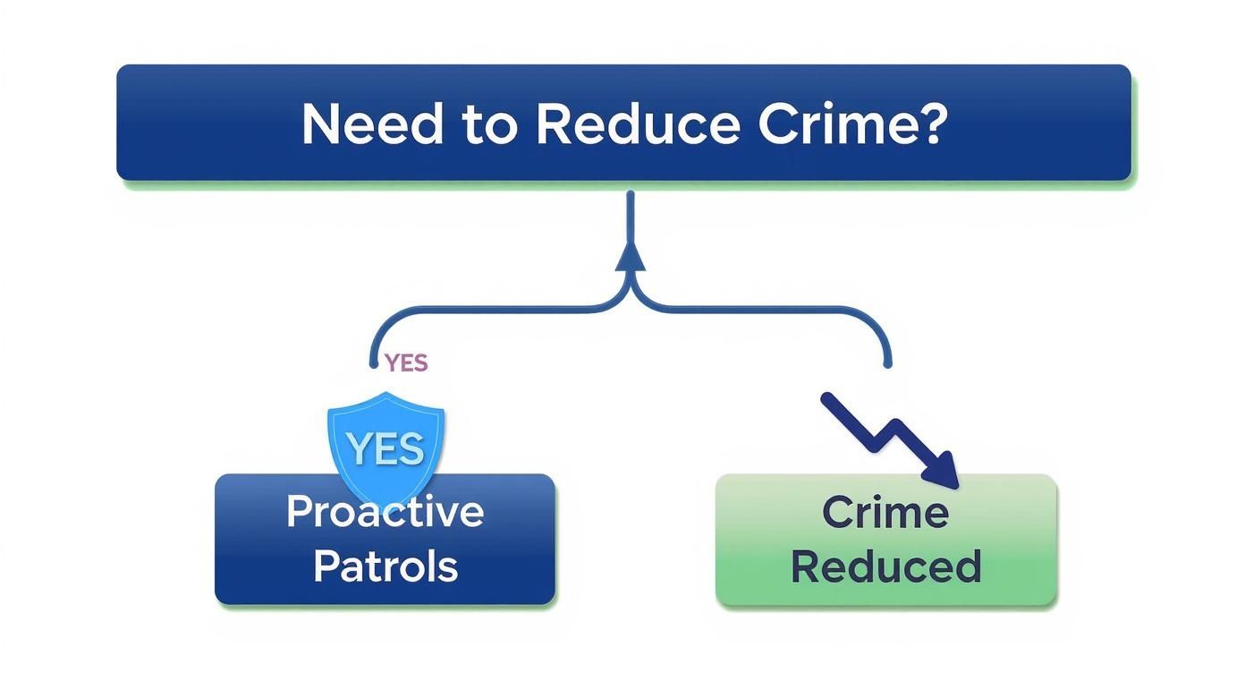 Flowchart showing proactive patrols lead to reduced crime in community safety strategy