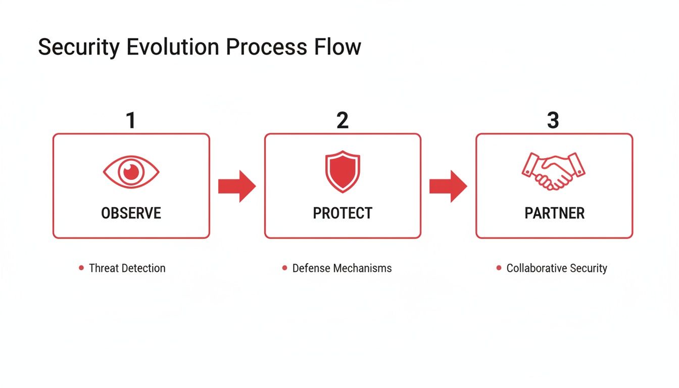 Flowchart showing the Security Evolution Process: Observe (Threat Detection), Protect (Defense Mechanisms), and Partner (Collaborative Security).