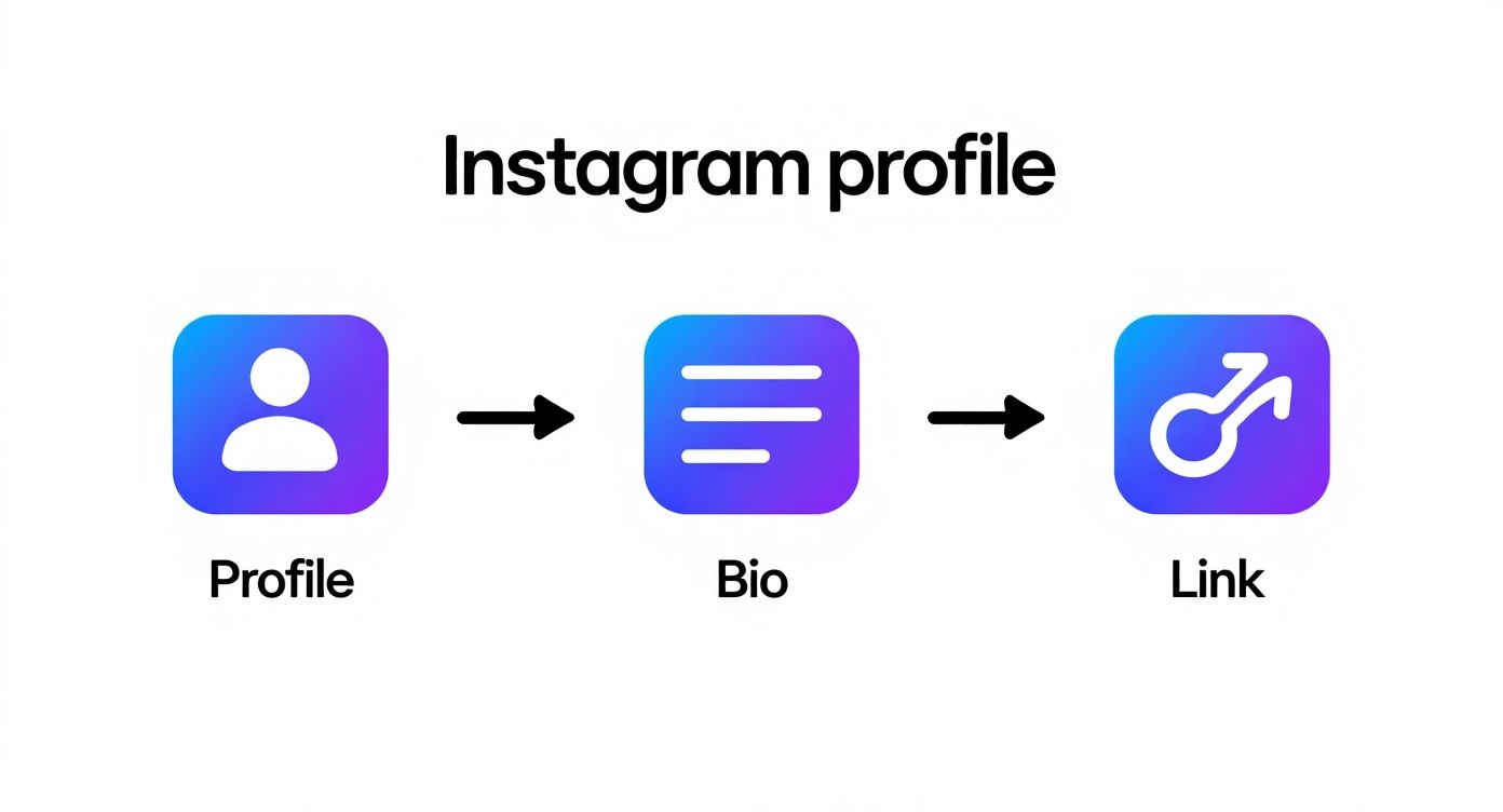 Instagram profile structure diagram showing progression from profile icon to bio content to external link