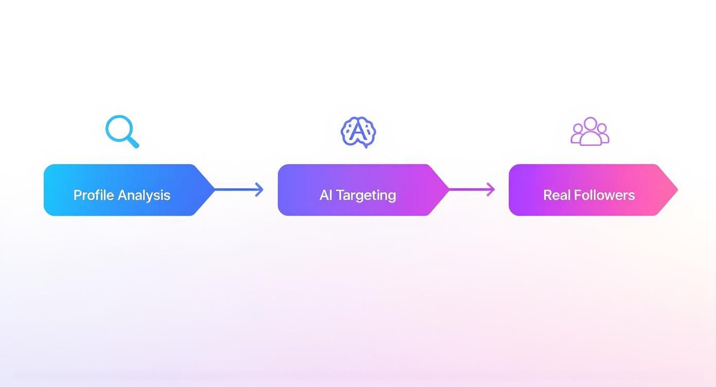 Infographic about buy followers for instagram