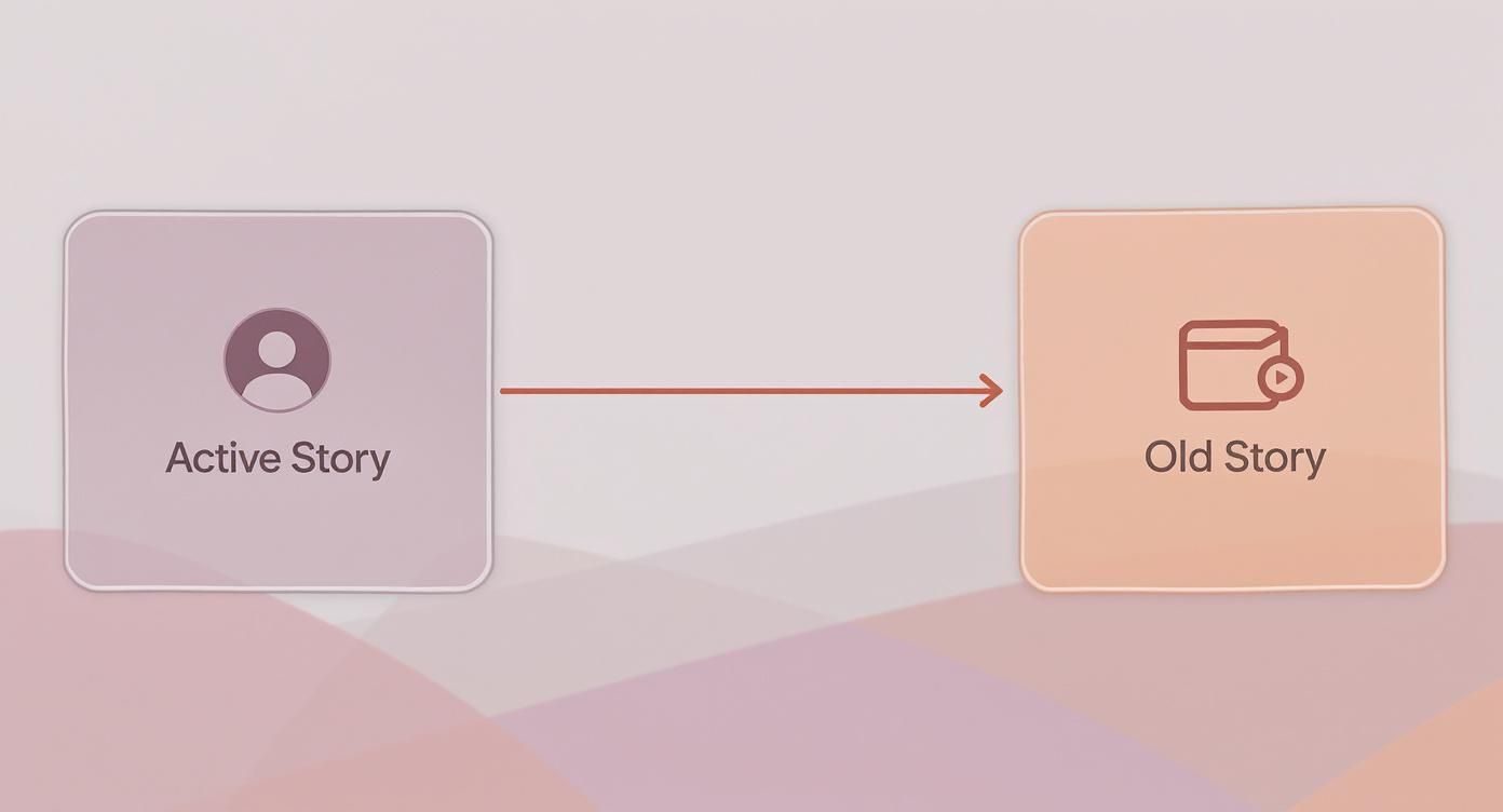 Infographic about instagram story viewer