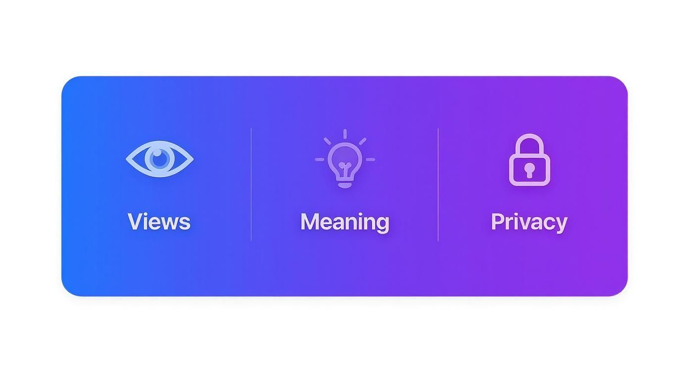 Infographic about profile views on instagram