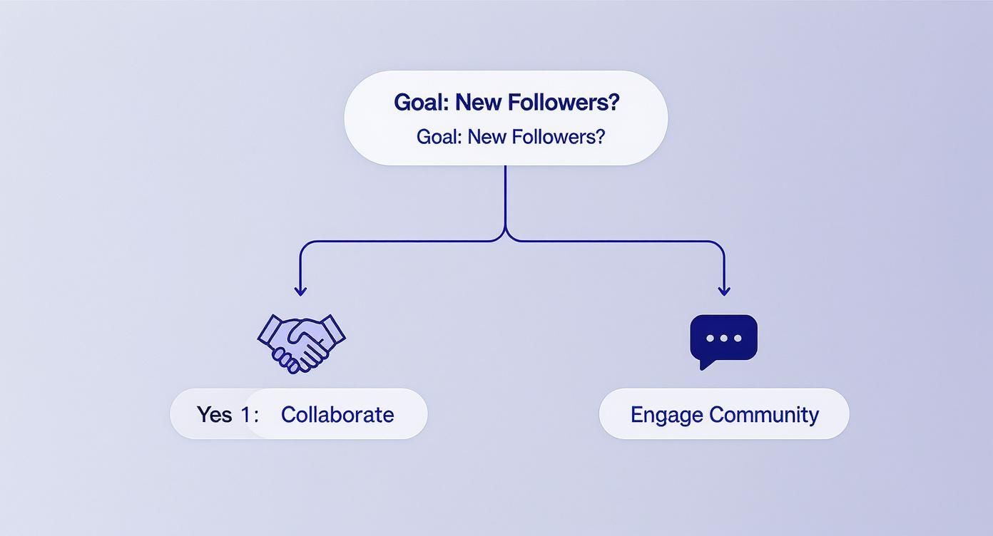Infographic about how to increase instagram reach
