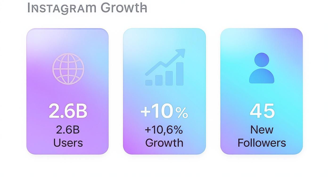 Infographic about grow instagram followers organically