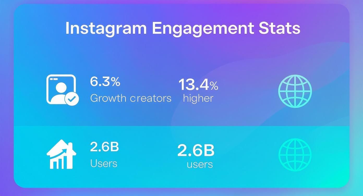 Infographic about real instagram followers