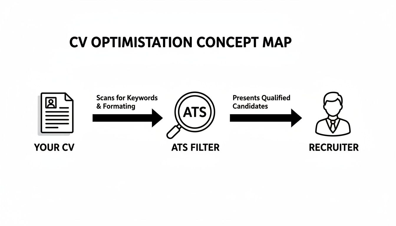 CV optimization process diagram: Your CV is scanned by an ATS filter for keywords, then presented to a recruiter.