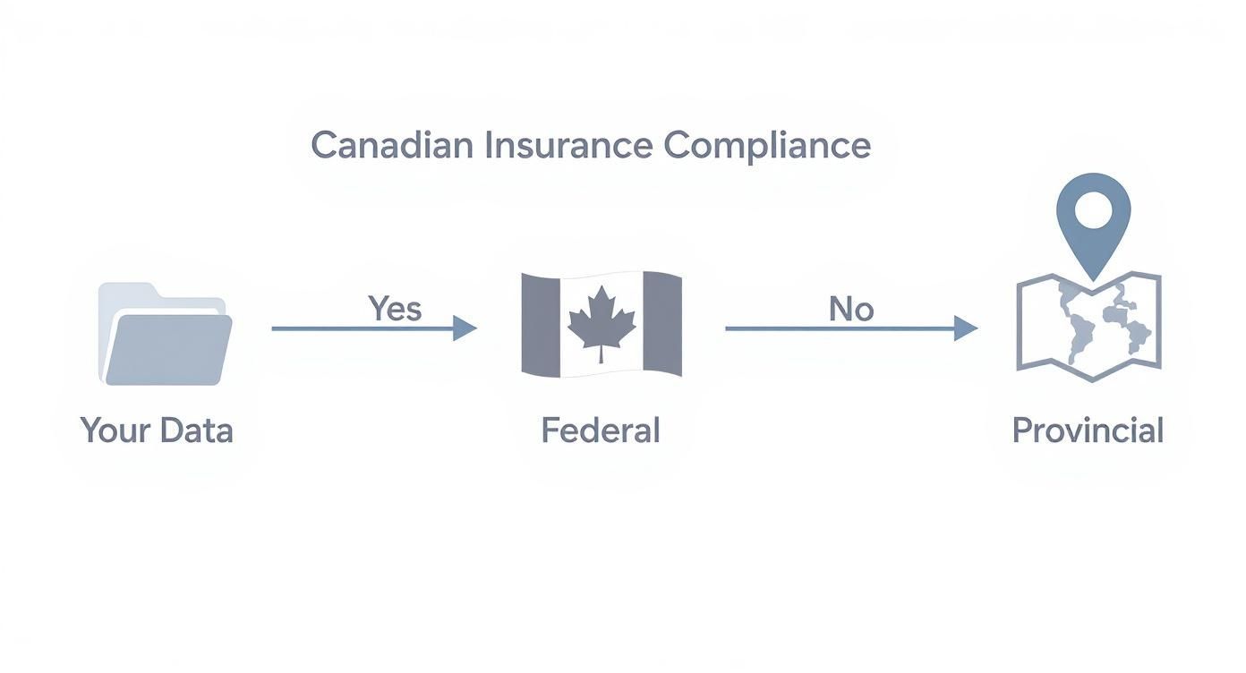 Infographic about custom insurtech solutions canada