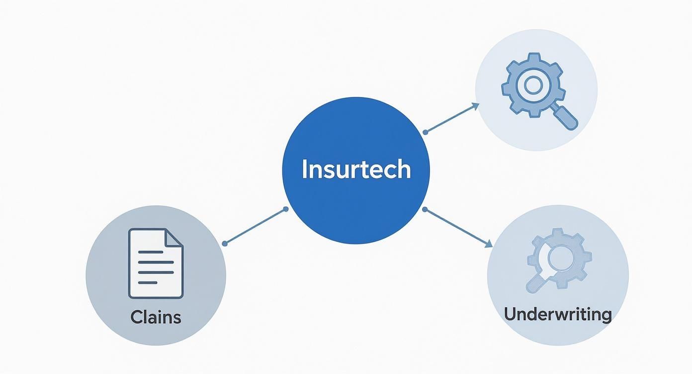 Infographic about insurtech solutions