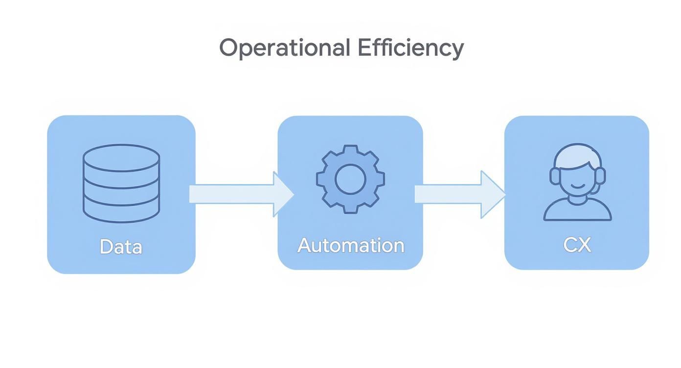 Infographic about predictive analytics in canadian insurance operations