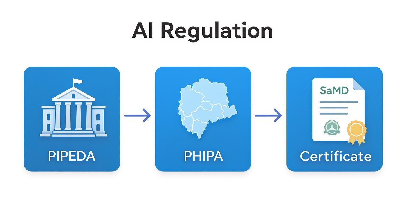 Infographic about ai healthcare solutions canada