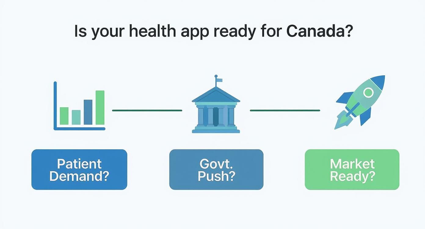 Infographic about healthcare app development canada