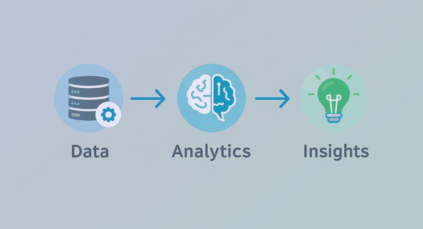 Infographic about healthcare data analytics solutions