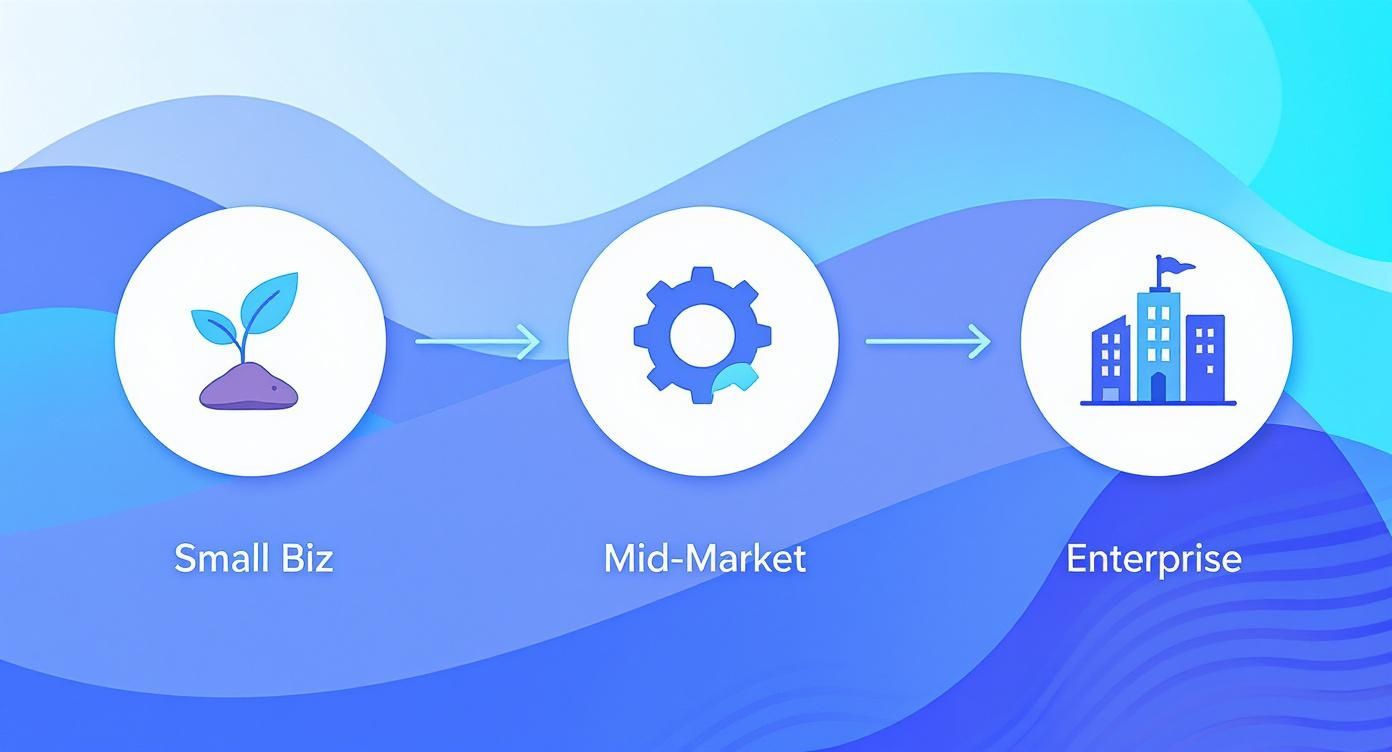 Infographic showing a process flow from a small business sprout icon, to mid-market gears, to an enterprise building icon.