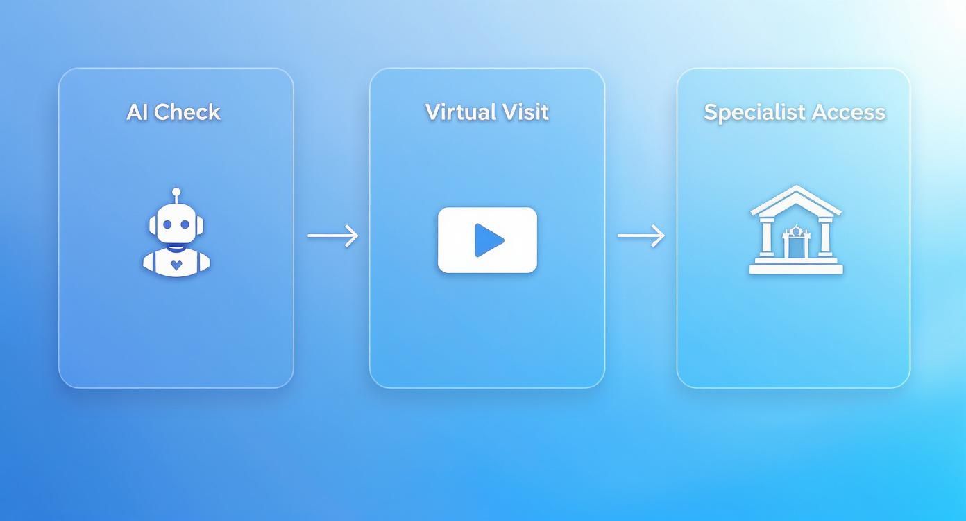 Three-step digital healthcare process showing AI check, virtual visit, and specialist access pathway illustration