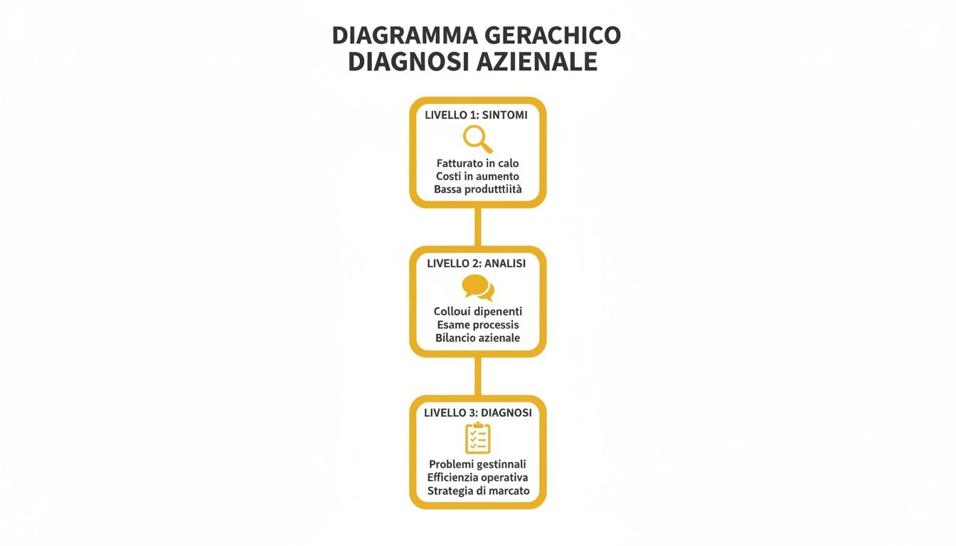 Diagramma gerarchico di diagnosi aziendale che illustra fasi e problematiche tipiche per la salute d'impresa.