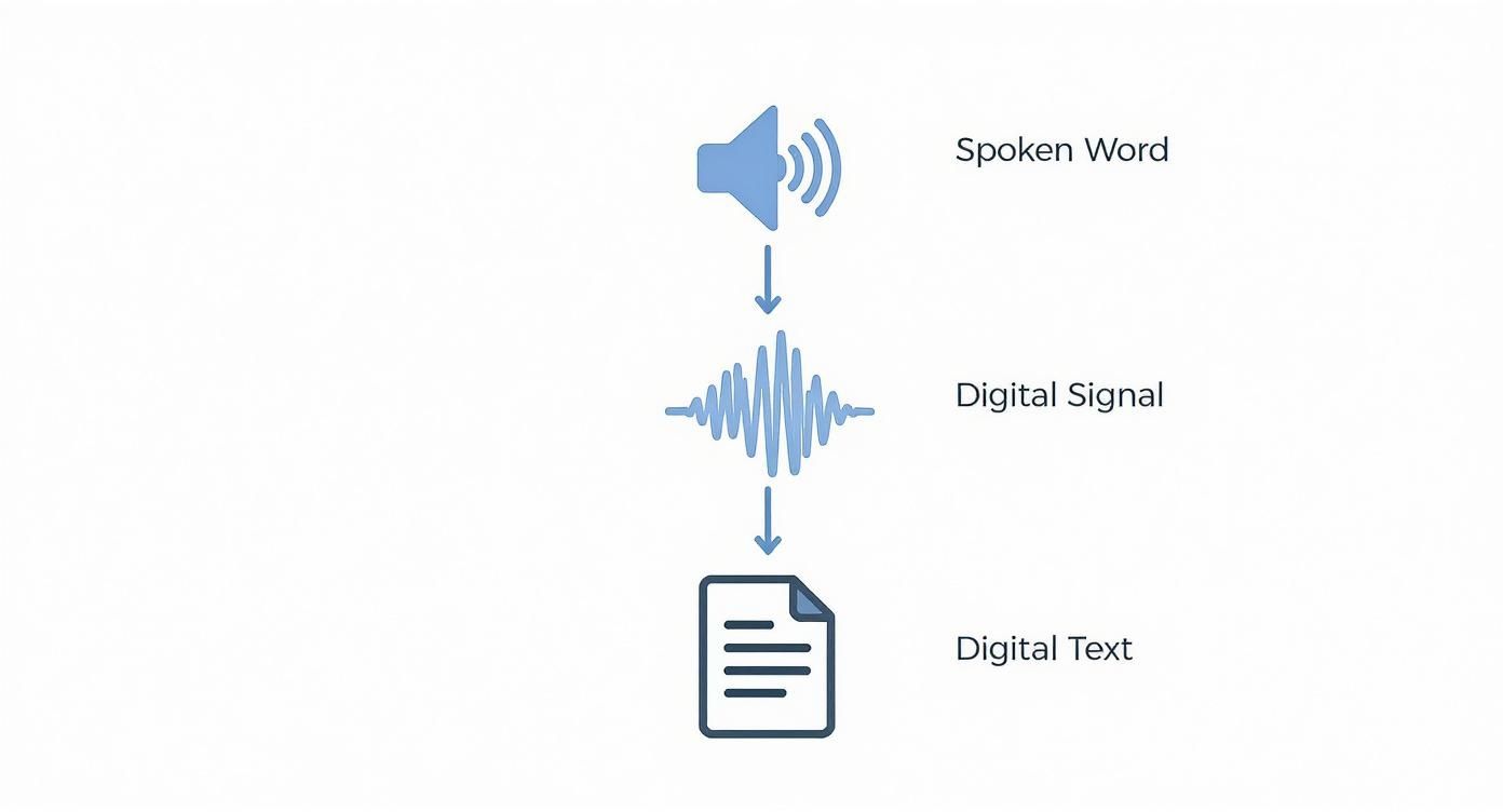 A diagram illustrating the conversion process from spoken word to digital signal and then to digital text.