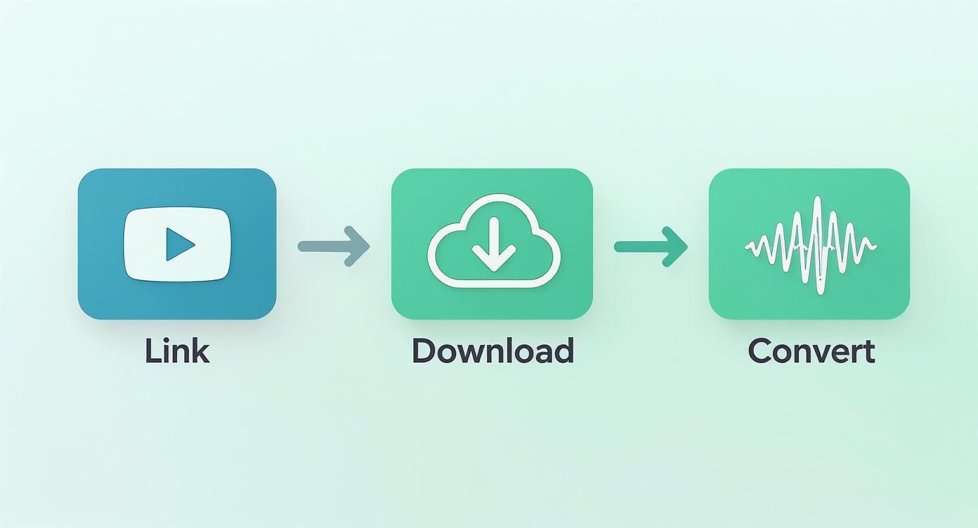 Infographic about youtube transcript ai
