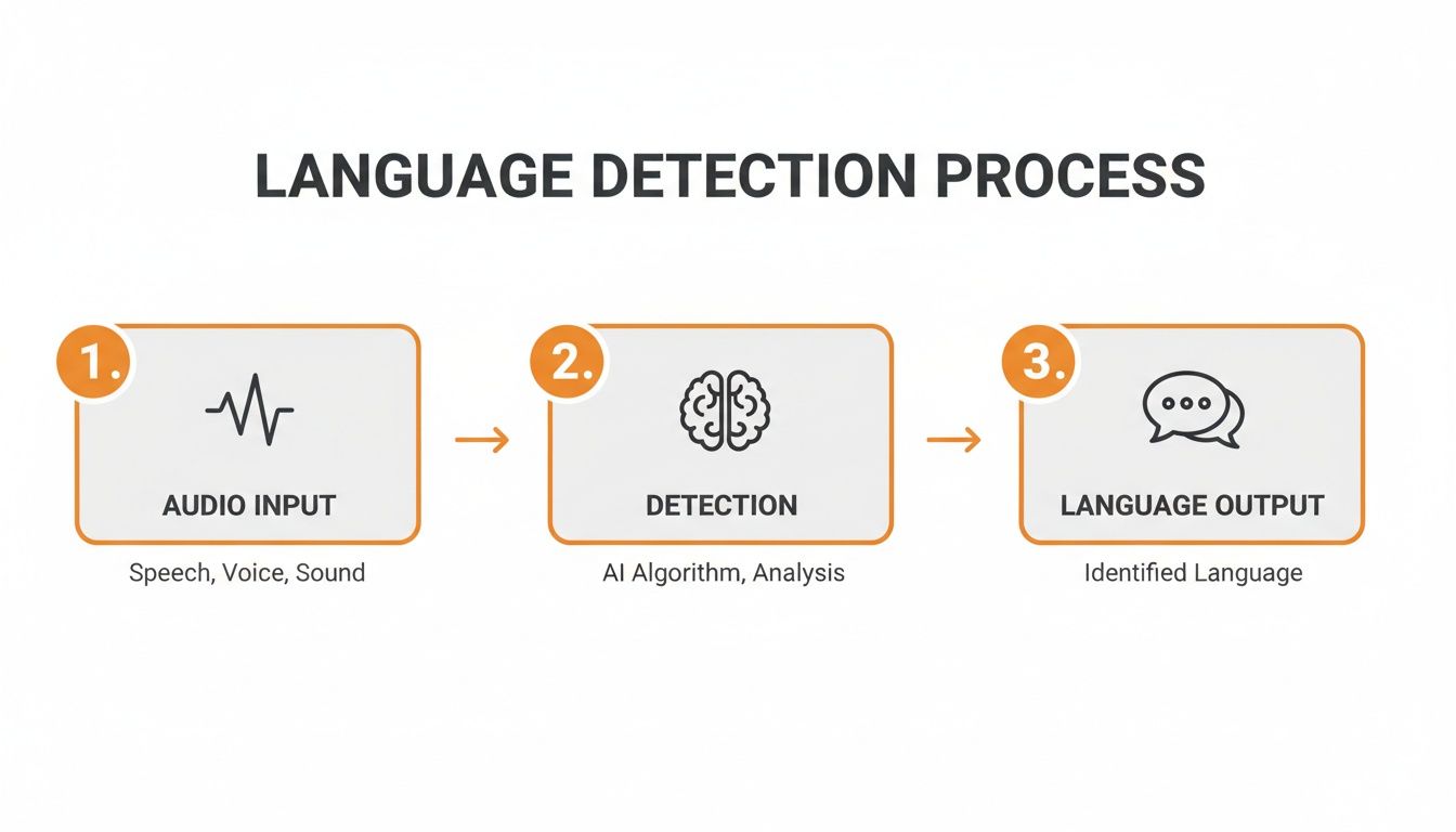 Flowchart illustrating the language detection process, from audio input to AI detection and identified language output.