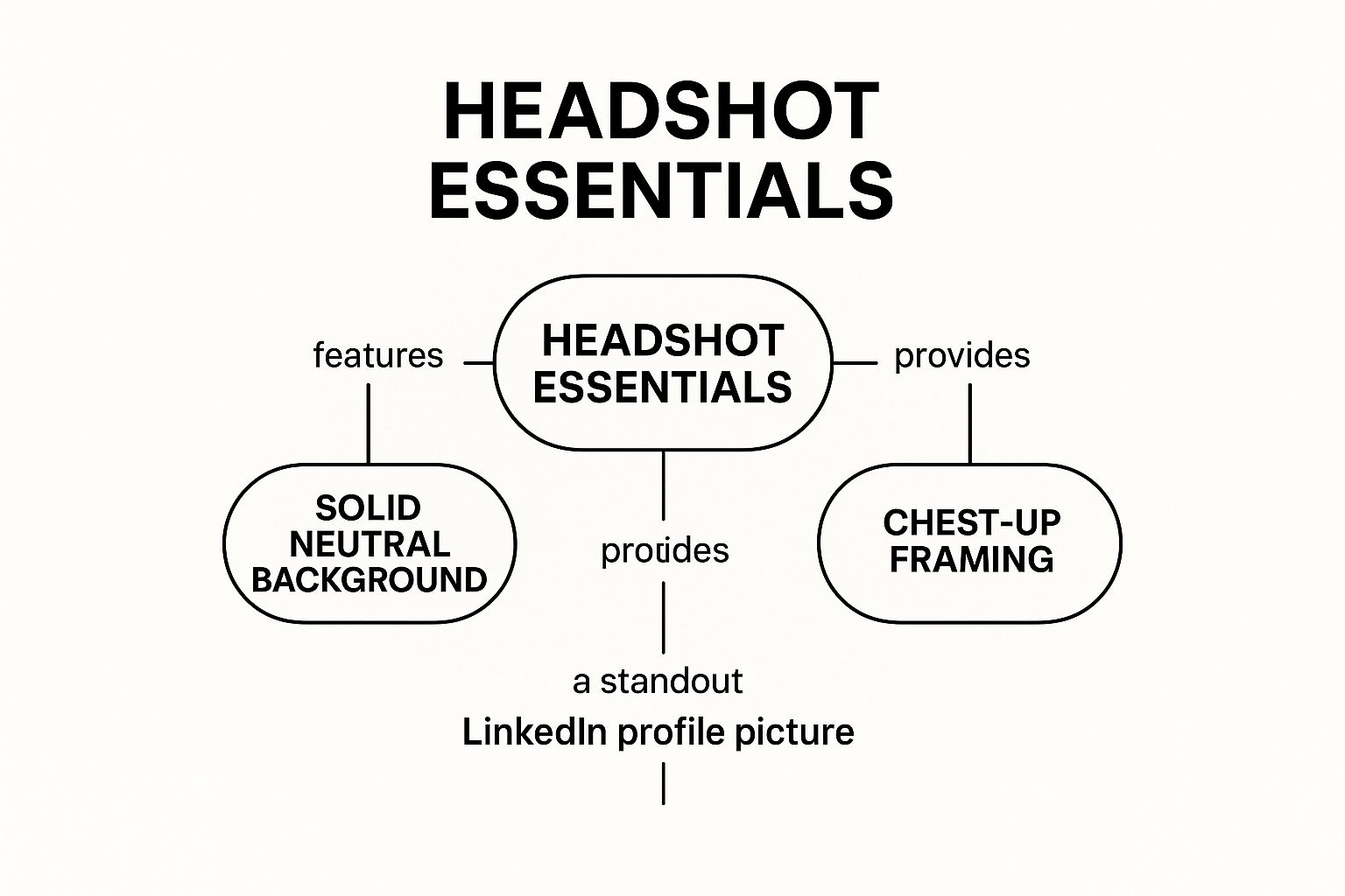 Infographic showing key data about Professional Headshot with Solid Background