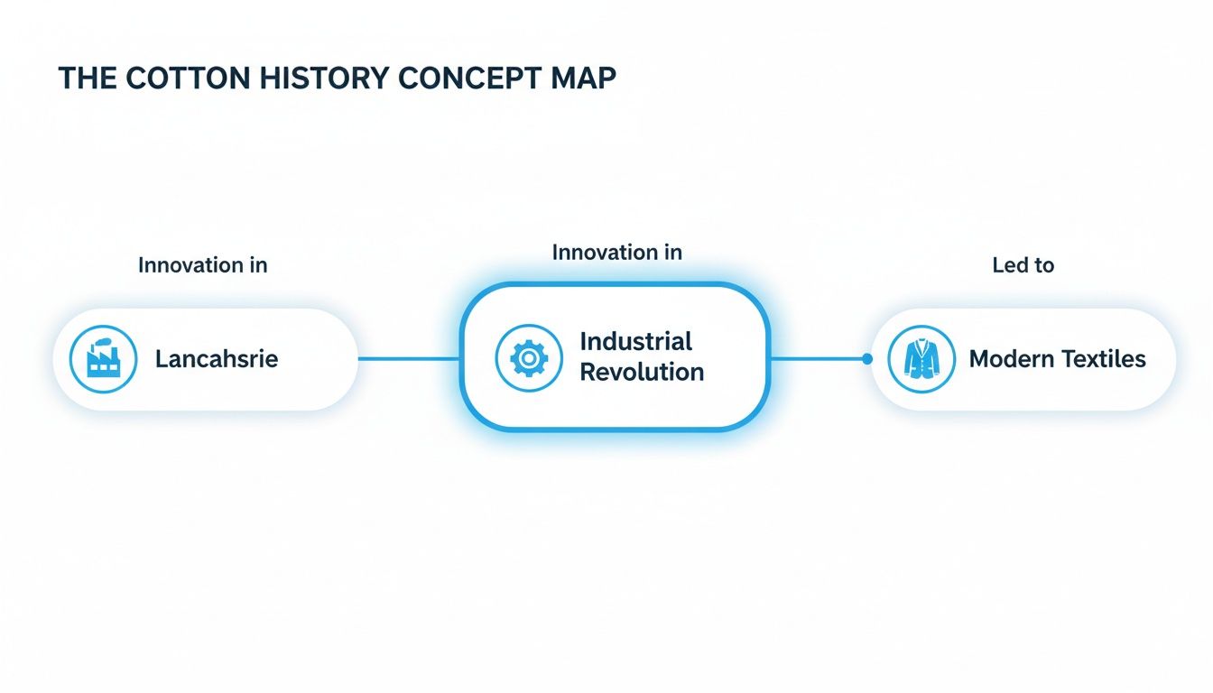A concept map illustrating cotton history, from innovation in Lancashire to the Industrial Revolution and modern textiles.