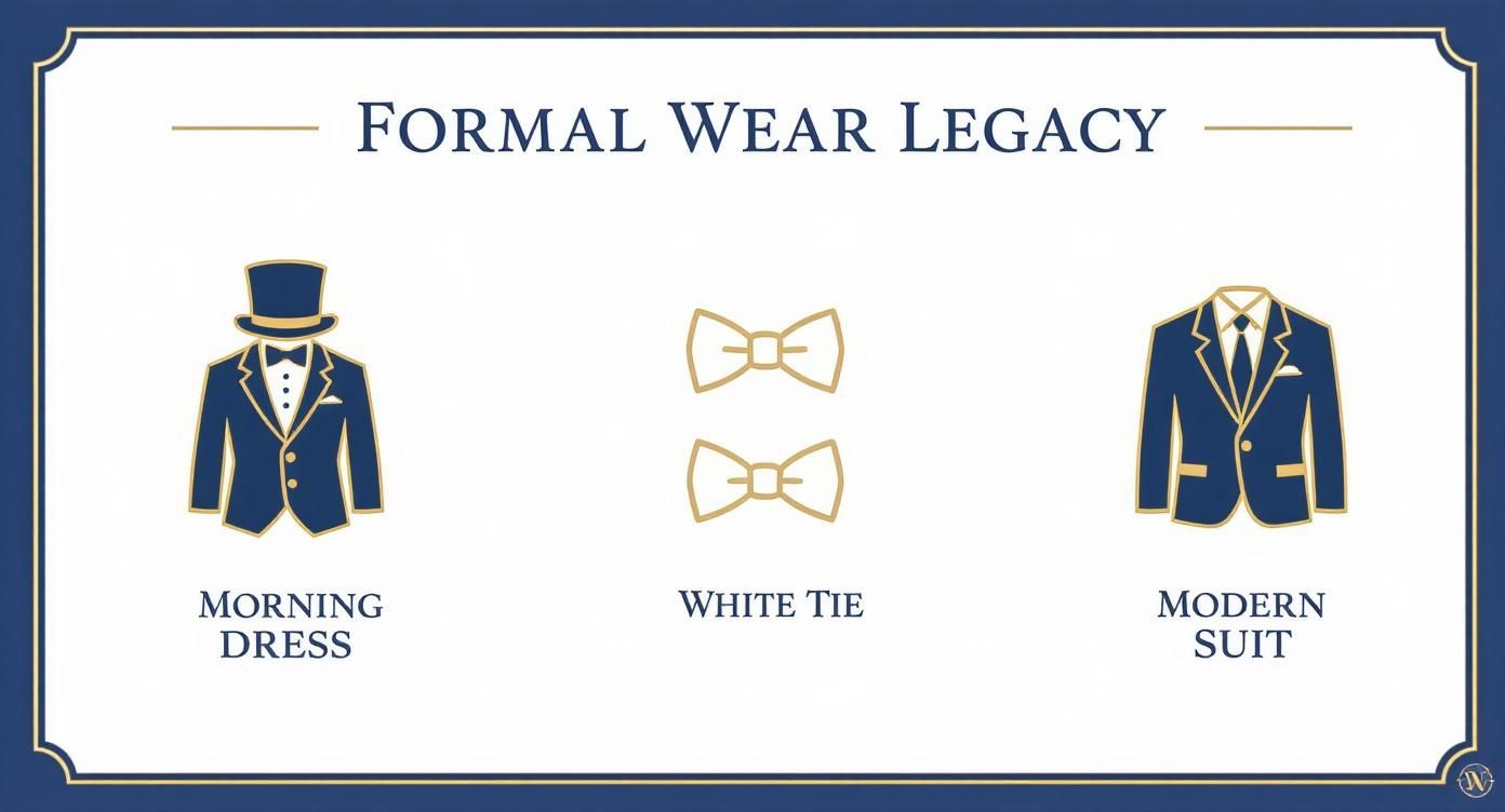 Formal wear legacy infographic showing morning dress with top hat, white tie bow ties, and modern suit