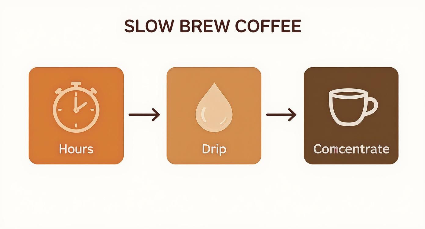 Infographic about cold drip coffee concentrate