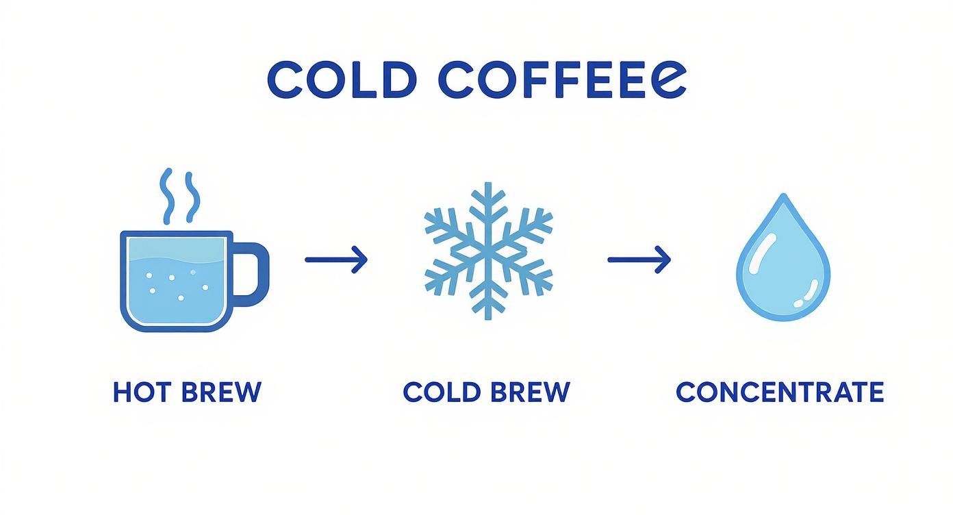 Infographic about cold brew coffee concentrate