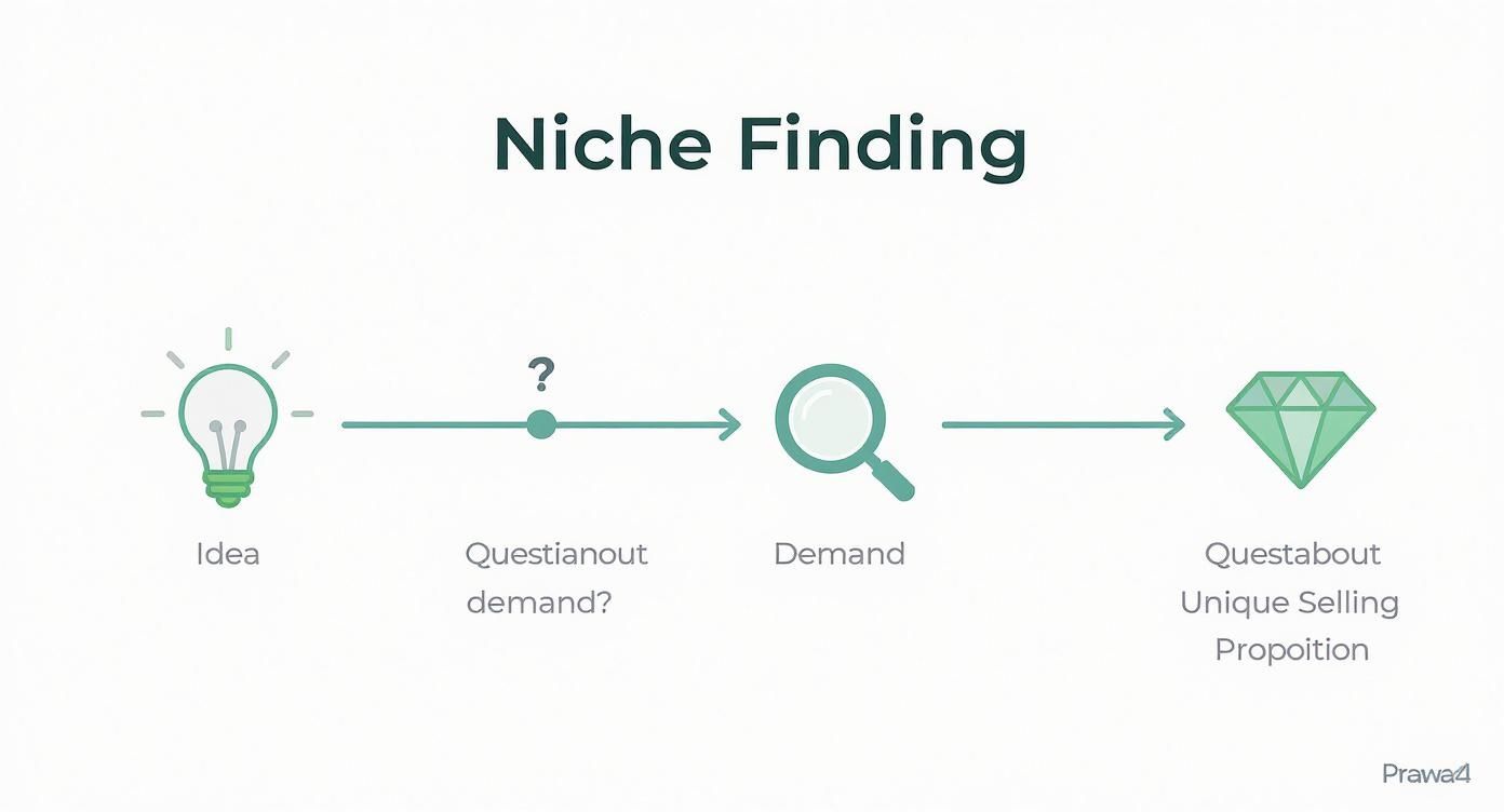 Infographic about konzeption online shop