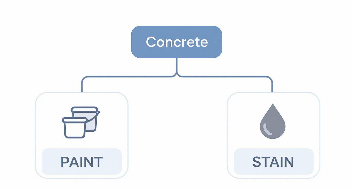 Flowchart illustrating concrete treatment options: paint (represented by paint buckets) and stain (represented by a droplet).