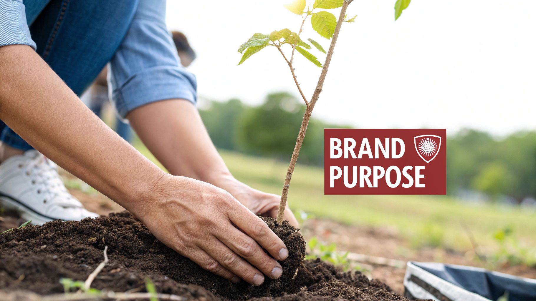 Content Marketing Excellence