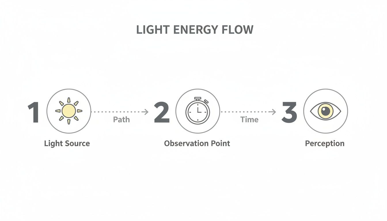 Conceptual diagram illustrating the flow of light energy from a source to human perception.