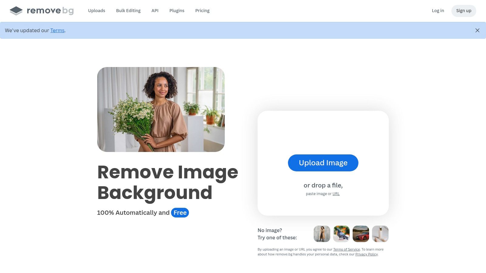 La interfaz de remove.bg mostrando una imagen con su fondo limpiamente eliminado.