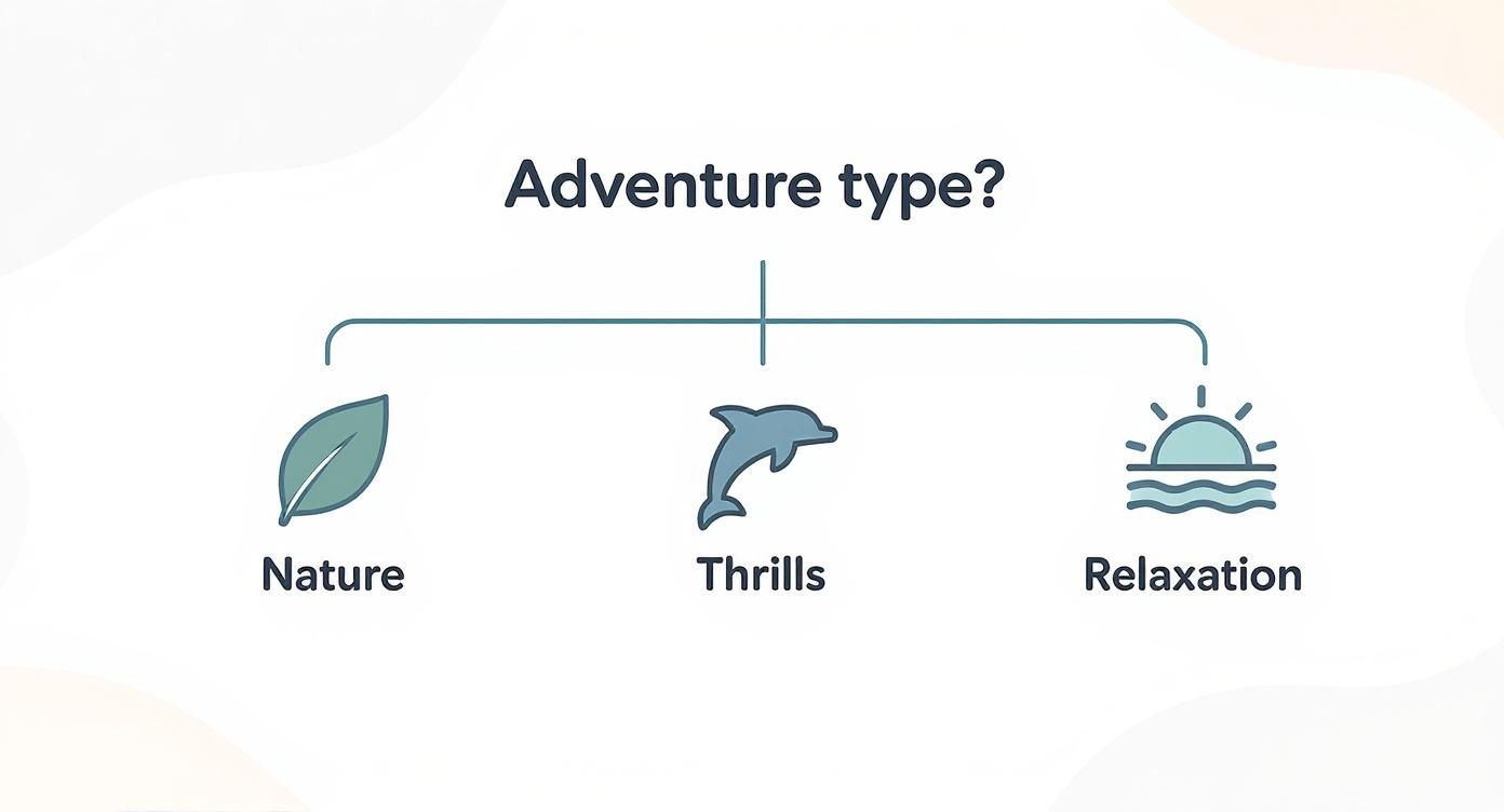 A diagram titled 'Adventure type?' showing three options: Nature with a leaf, Thrills with a dolphin, and Relaxation with a sun over waves.