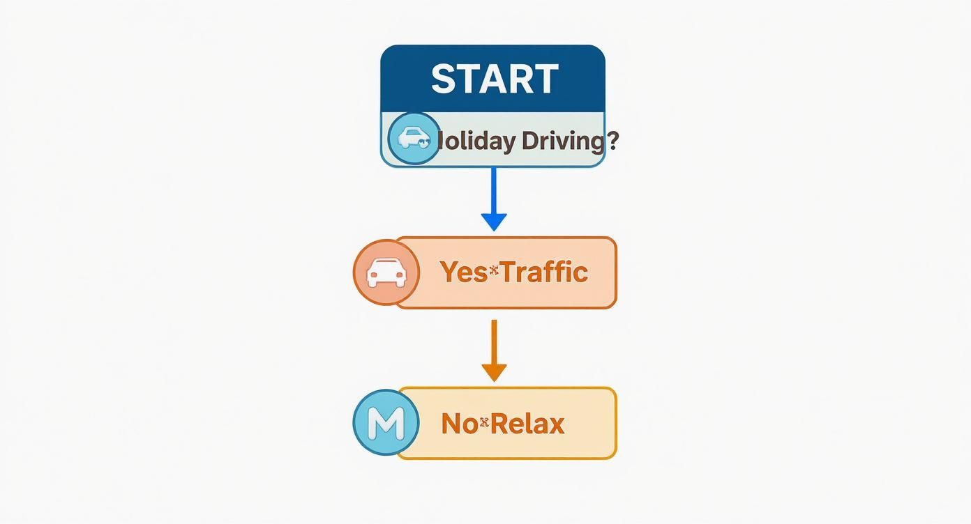 Infographic about drive on holidays porto