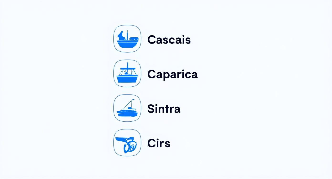 Infographic about surf in lisbon
