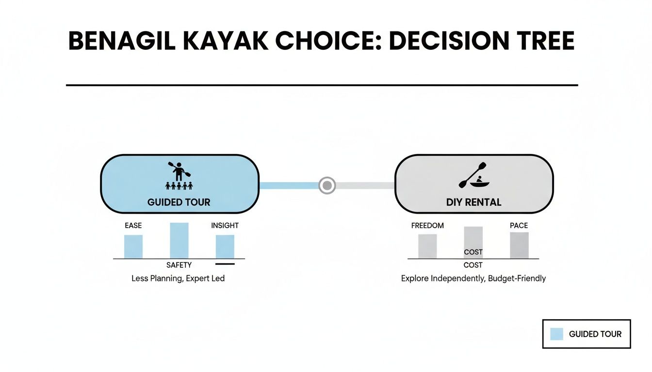 Decision tree comparing Benagil kayak guided tours versus DIY rentals, highlighting their pros and cons.