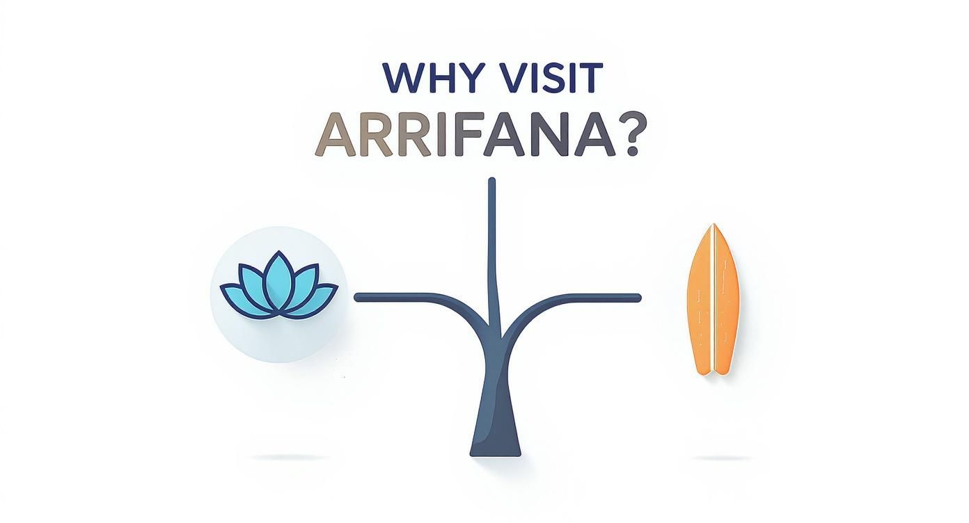 An infographic asking 'Why visit Arrifana?' showing a lotus flower and a surfboard.