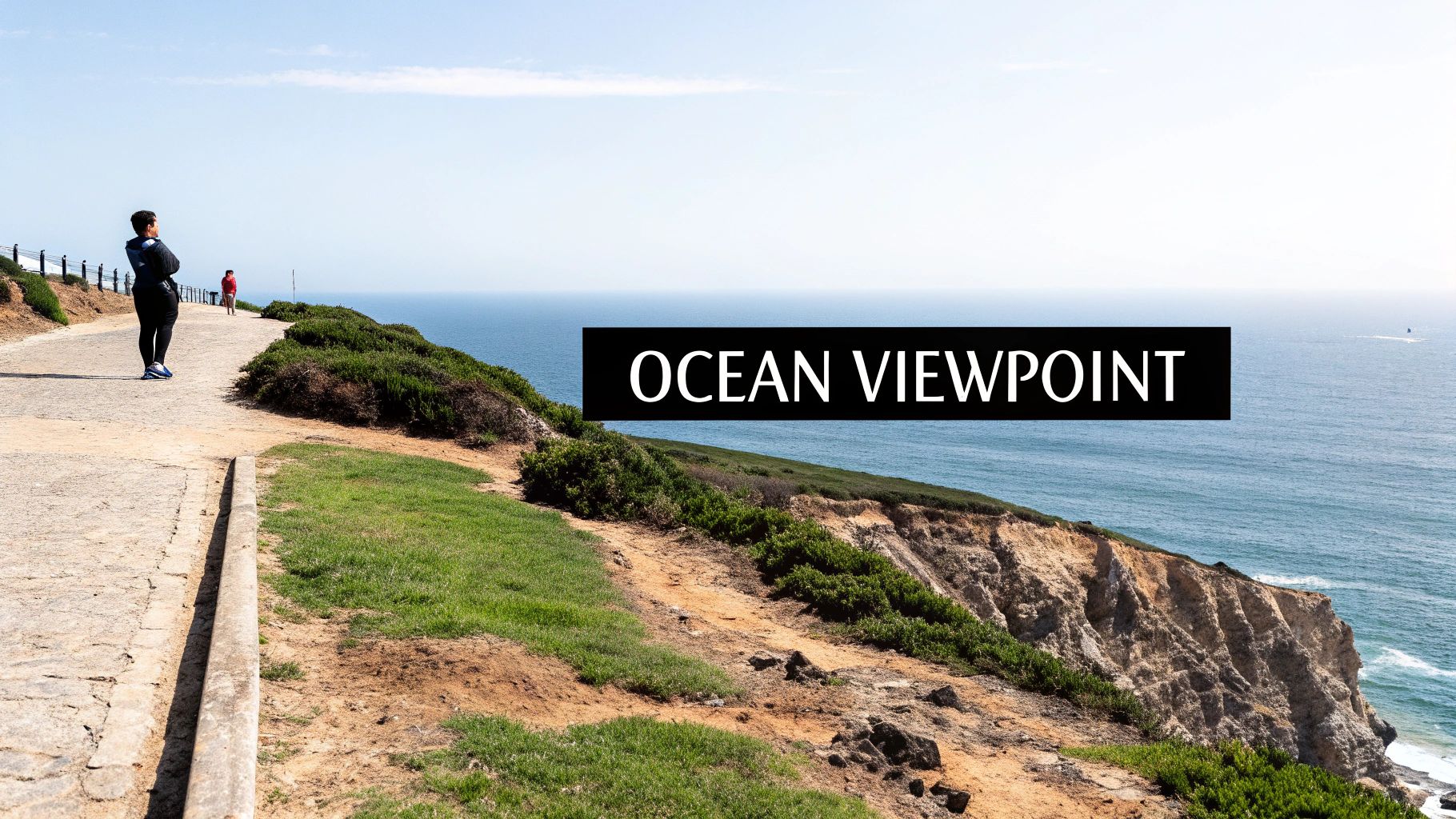A person views the expansive blue ocean from a scenic cliffside path with green vegetation.