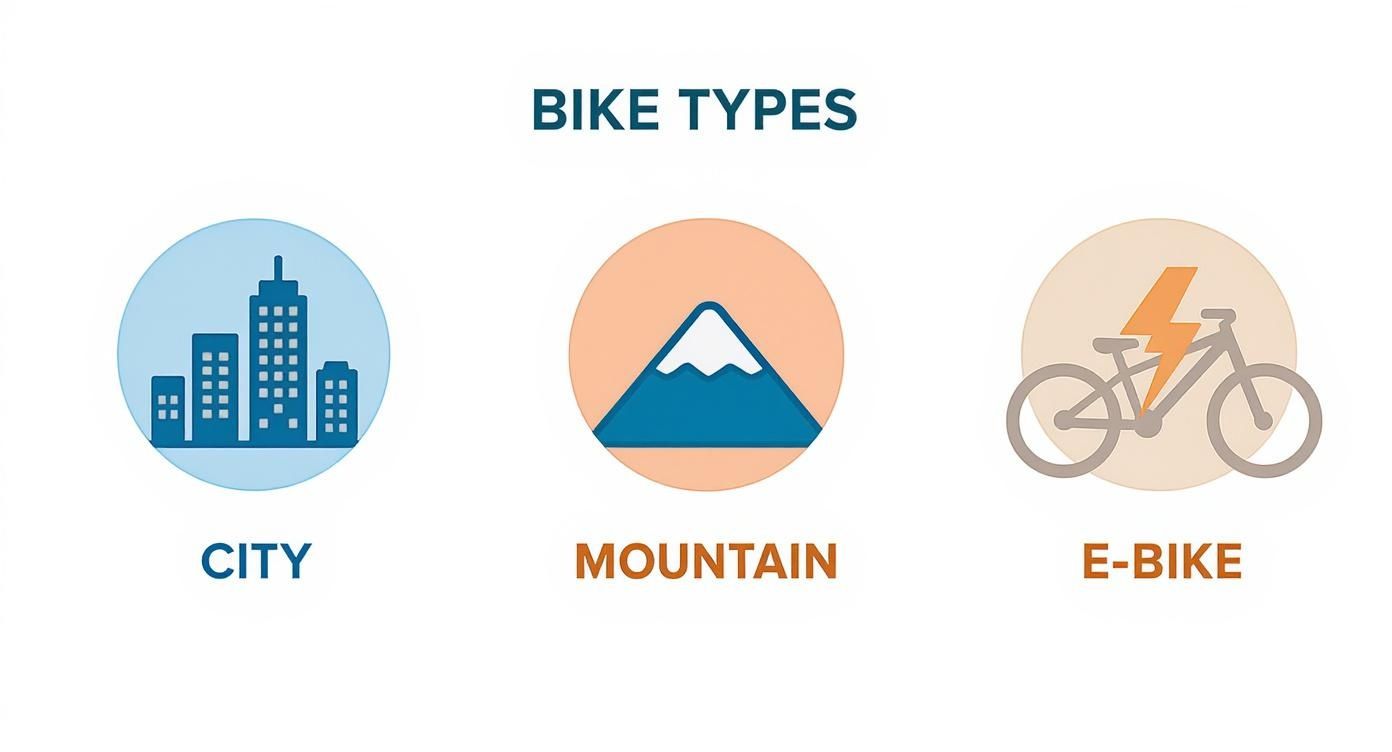 Infographic about rent a bike albufeira