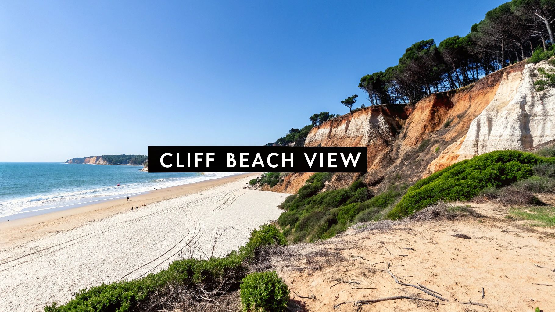 A scenic view of a wide sandy beach stretching along a blue ocean, backed by majestic cliffs with pine trees under a clear sky.